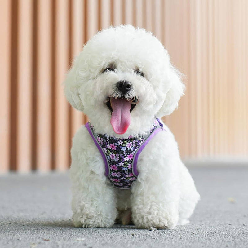 Step in Dog Harness and Leash Set, Flower Adjustable Easy Walk Puppy Harnesses, Soft Mesh Pet Vest Harness Small Size Dog Adjustable No Pull Dog Harness for Small Medium Dogs(Purple, S) Purple S(neck:10.5"-12",chest:13.5"-16") - PawsPlanet Australia