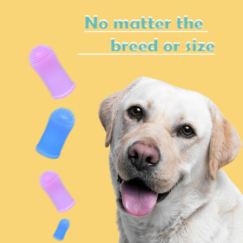 Cylindrical dog toothbrush for Dogs–the Easy to Use Dog Tooth Brushing Kit, With of Toothbrush for Dogs you will get the Hygiene, Takes Care of Teeth and Gums, Ideal for Pets of All Ages-2 Pack Blue, Pink 1 Count (Pack of 2) - PawsPlanet Australia