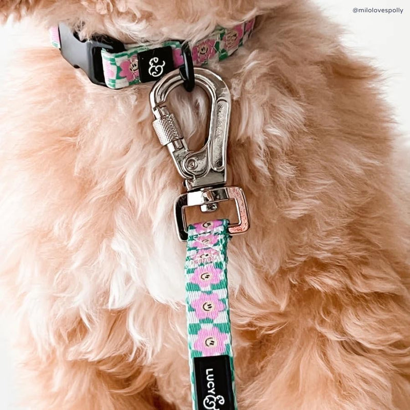 Just Chill Leash Large Just Chill