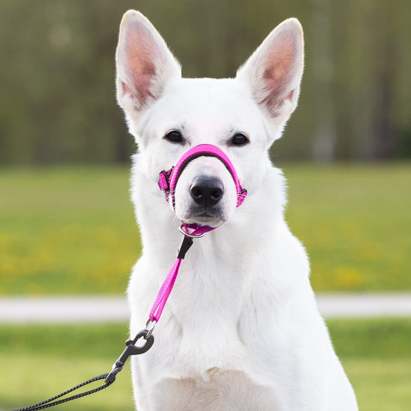 GoodBoy Dog Head Halter with Safety Strap - Stops Heavy Pulling On The Leash - Padded Headcollar for Small Medium and Large Dog Sizes - Head Collar Training Guide Included (Size 4, Pink Nylon) Size 4 (Pack of 1) Pink Nylon / Black Padding - PawsPlanet Australia