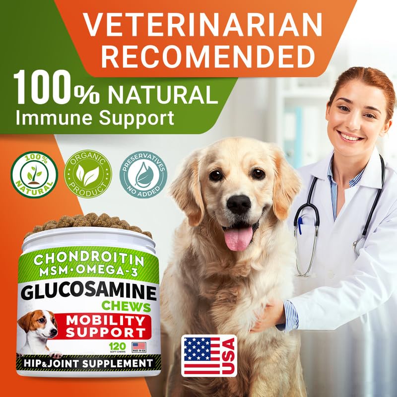 STRELLALAB Glucosamine Treats for Dogs - Joint Supplement w/Omega-3 Fish Oil - Chondroitin, MSM - Advanced Mobility Chews - Hip & Joint - Beef Liver - 120 Ct - Made in USA - PawsPlanet Australia