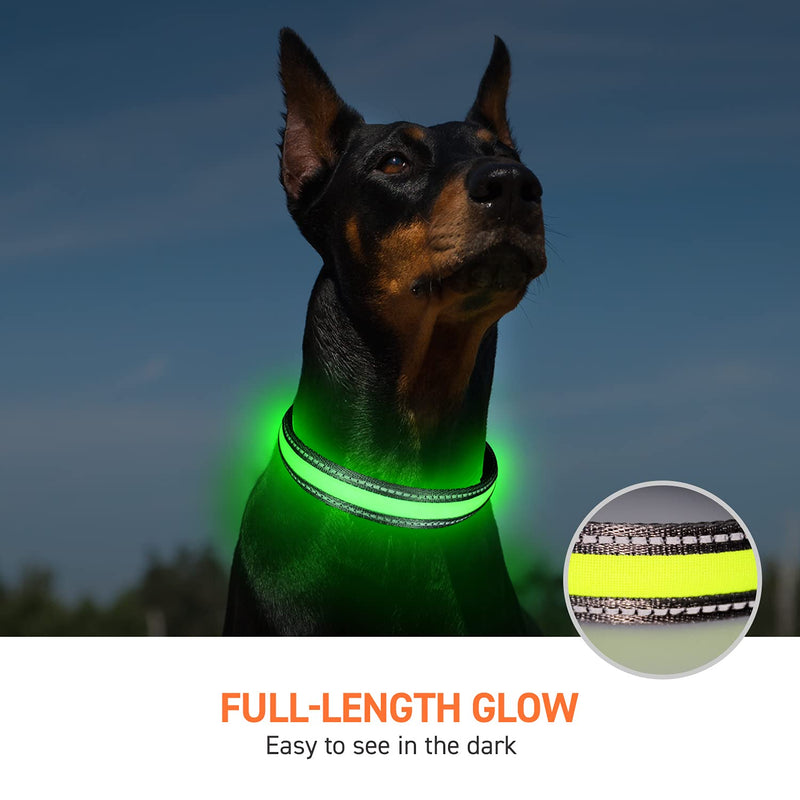 LaRoo LED Dog Collar, Rechargeable Nylon Light Up Dog Collars, Adjustable Glowing Pet Led Collars for Small Medium Large Dogs Night Visible