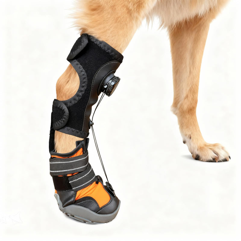 Correction Aid for Dogs Joints Shoes Orthosis Foot Lifter for Dogs Corrective Walking Aid for Foot Problems Secure Toe Lifter Improves Gait & Running L gray