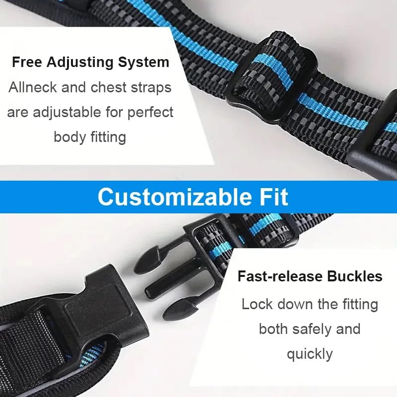 Enorme Dog Harness with Leash & Poop Bag Container + 350 ML Bowl, No-Pull Pet Harness Adjustable Soft Padded Dog Vest Reflective Oxford Vest with Easy Control Handle. (Black, Small) Black - PawsPlanet Australia