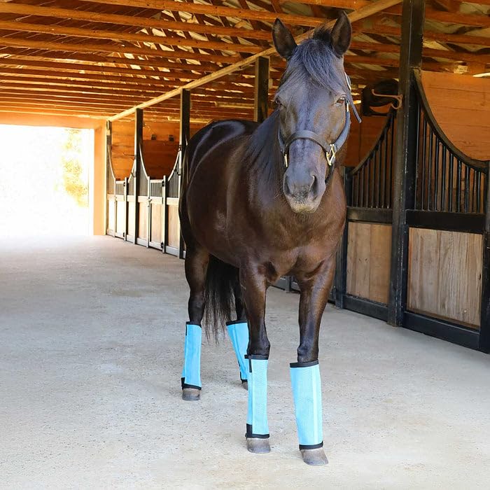 Jeffers Romper Stomper Fly Boots for Horses - Grey, Large – Breathable Mesh Leg Wraps for Insect Protection, Stable Accessories for Summer Turnout, Ride Gear, Horse Hoof & Leg Care - 4 Pack Light Blue Medium