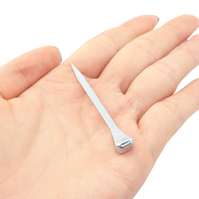 25PCS Silver Horseshoe Nails 2 Inch Stainless Steel Tack Trim Nails Horse Racing Training Hoof Nails Used to Hold Craft Glass Equestrian Applications - PawsPlanet Australia