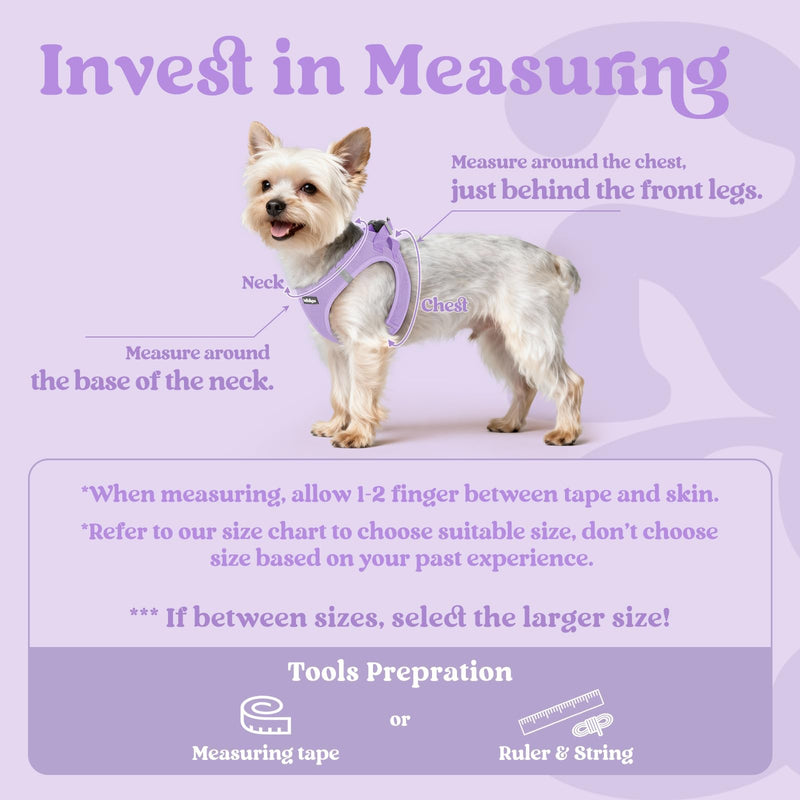 rabbitgoo Dog Harness Small Dog, Step-in Soft Mesh Puppy Harness with Reflective Strips, Lightweight Breathable Pet Vest for Walking Training, Light Purple, M