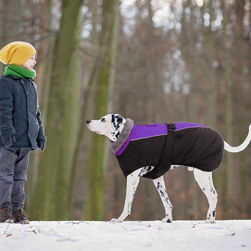 IECOii Extra Warm Dog Coat Reflective Adjustable Dog Jacket Dog Winter Coat with Buckle Fleece Turtleneck Dog Jacket for Cold Weather Soft Winter Coat for Small Medium Extra Large Dogs X-Large Purple - PawsPlanet Australia