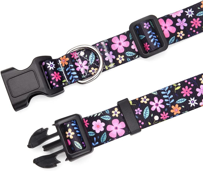 Dog Collar and Leash Set for Small Dogs Cats, with Soft Comfortable Adjustable Floral Pattern for Puppy and Small Dogs (XS) X-Small (Pack of 1) Set Floral - PawsPlanet Australia
