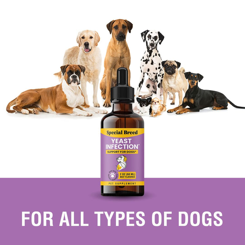 Yeast Infection Treatment for Dogs - Soothing Itch Relief, Ear Infection Treatment, Reduces Irritation & Inflammation, 2 oz - PawsPlanet Australia