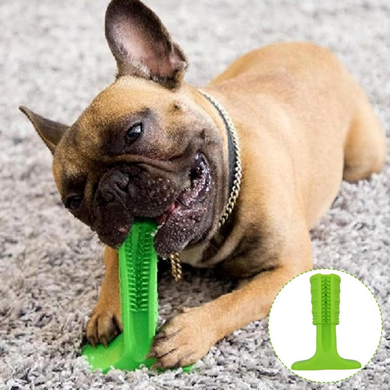 Durable Dog Toothbrush for Small Medium Dogs,Teeth Cleaning Chew Stick, Dog to-ys,Puppy Dental Care Brush Puppy Dog Birthday Gifts - Green