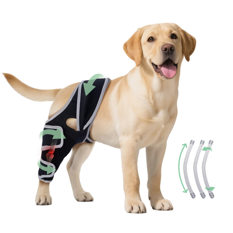 Dog Knee Brace for Torn ACL Hind Leg, Adjustable Four-Legged Universal Dog Knee Brace for Arthritis, Patellar Luxation, Hip Dysplasia, Relieve Joint Pain and Ligament Damage,XS XS