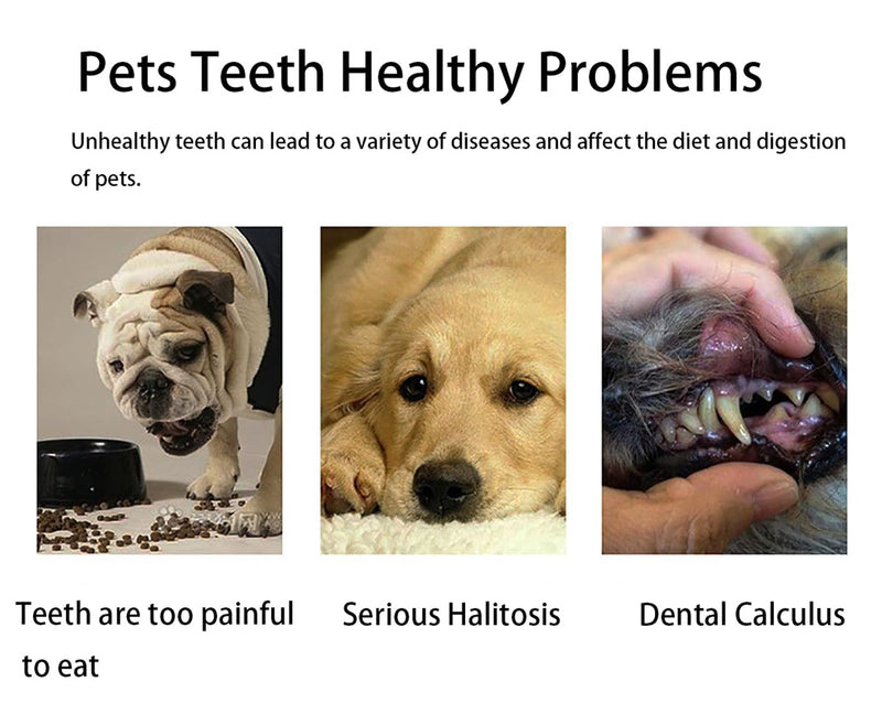 Pet Toothbrushes Dog Cleaning Toothbrush Extra Soft Dog Toothbrushes for Puppy Small Dog and Cat Teeth Care Dog Toothbrush Pet Cat Dog Toothbrush 4 Pack Kit (Blue/Black/Pink/Brown) - PawsPlanet Australia