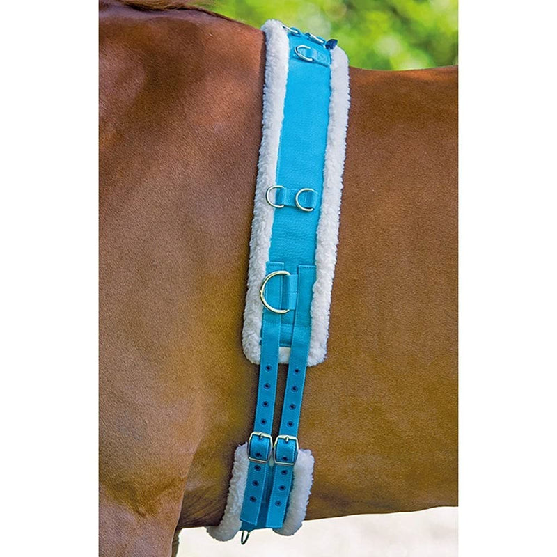 Shires Equestrian Nylon Lunging Roller with Fleece Padding Full Black - PawsPlanet Australia