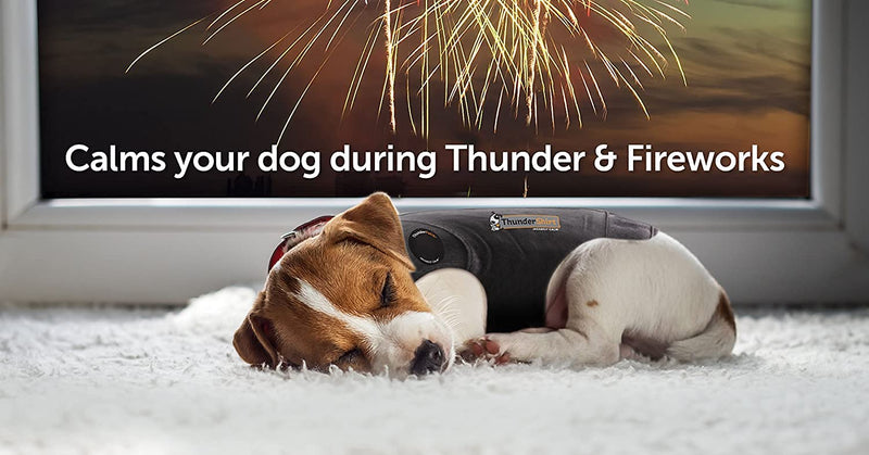 Thundershirt Dog Jacket for Anxiety, Green,Extra Extra Small Green ThunderShirt XXS - PawsPlanet Australia