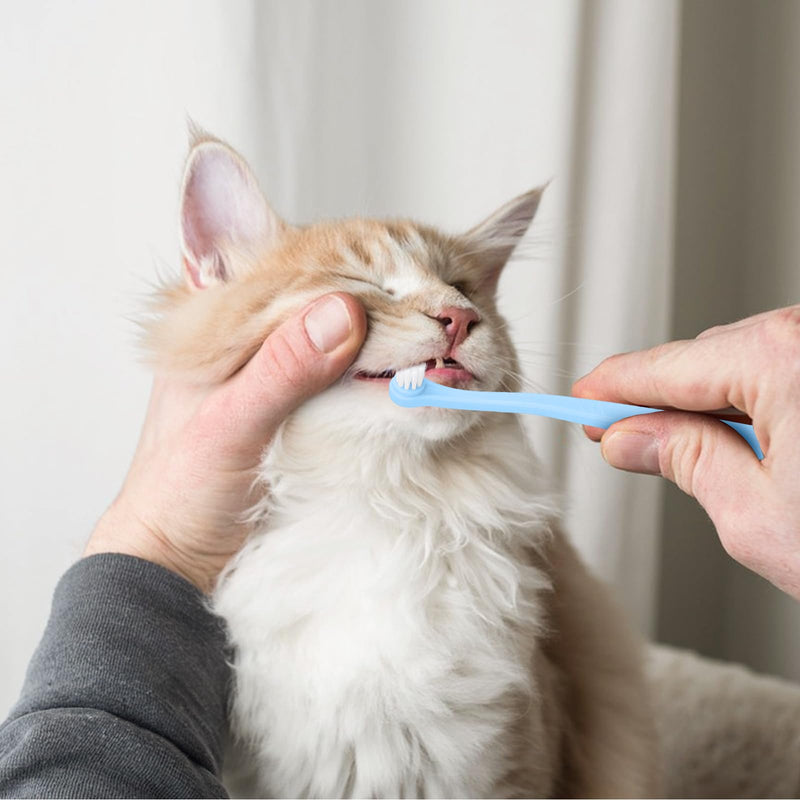 8 Pack Small Dog Toothbrush Cat Toothbrush Pet Toothbrush Mini Head Soft Dog Cat Tooth Brush for Sensitive Gum Puppy, Kitten, Cats & Small Breed Dogs, Portable Travel Friendly and Easy to Use - PawsPlanet Australia
