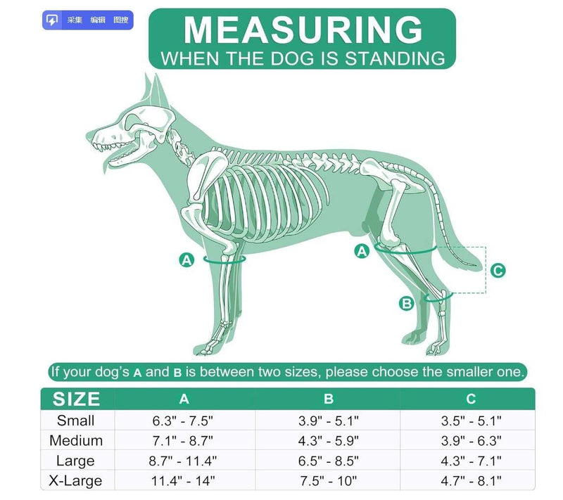 Large Breathable Dog Knee Brace for Torn ACL Legs - Easy to Use, Neoprene Dog Leg Braces for Back Leg - ACL Brace for Dogs, Helps Reduce Pain and Heal Injuries - PawsPlanet Australia