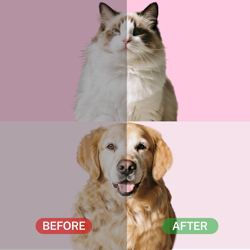 4 in 1 Pet Steam Brush for Cat for Shedding Grooming Massage Self Cleaning, Cat Brush for Long Short Haired Cats, Defur Comb for Kitten Cats Dogs (White Orange) White Orange - PawsPlanet Australia