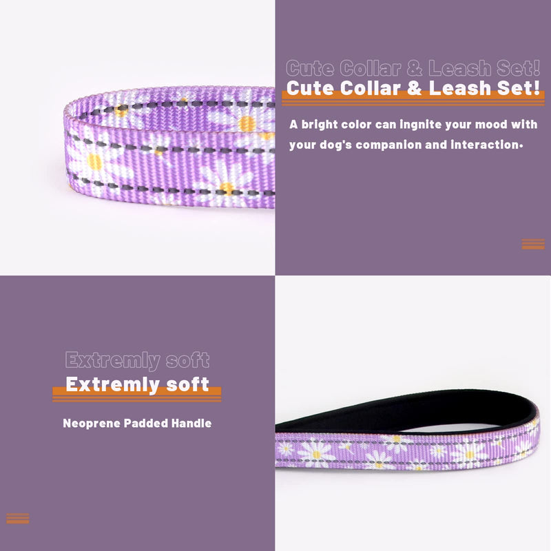 Reflective Dog Collar Leash Combo: Puppy Small Medium Large Adjustable Cute Matching Collar Set for Pet Girl/Boy Comfy Easy Walk Running Outdoor Hiking (XS Small, Purple) XS Small - PawsPlanet Australia