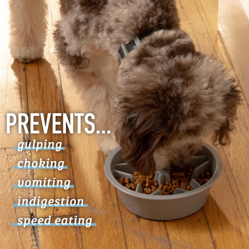Leash Boss Slow Feeder Dog Bowls - Cup Maze Puzzle Slow Feeder Dog Bowl with 2 Cups - With 7.5-8 Inch Feeder Holes - Dog Bowl Slow Feeder - Slow Feeding Dog Bowl for Large, Medium & Small Sized Breeds 2 Cup - 7.5-8 Inch Feeder Holes Gray - PawsPlanet Australia