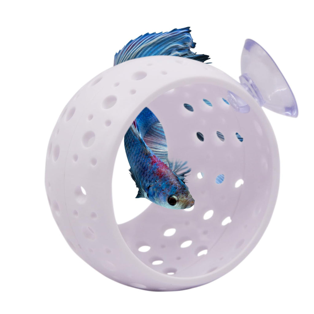 Saim Betta Fish Tunnel Toys, Fish Lounge Aquarium Betta Fish Hideout with Suction Cup Betta Fish Cave Aquarium Decor for Small Fish Shrimp Betta Guppies Hiding Resting - White