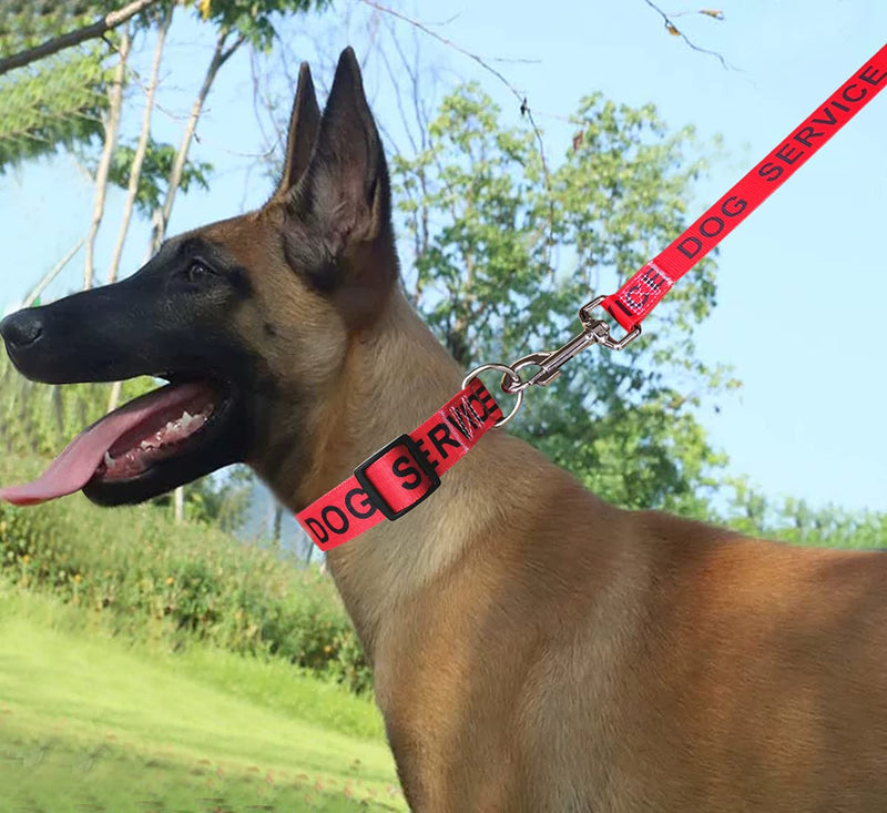 MayPaw 4FT Service Dog Leash, 1" Wide Nylon Dog Leash with Comfortable Neoprene Handle, Great for Medium to Extra-Large Dogs (4ft x 1", red) 4ft x 1 inch Red leash - PawsPlanet Australia