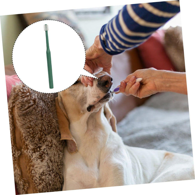 TOYANDONA Small Dog Toothbrush Oral Care Brush for Puppies and Cats Non-Slip Handle Gentle Against Plaque and Bad Breath Pet Dental Care Accessories for Healthy Teeth