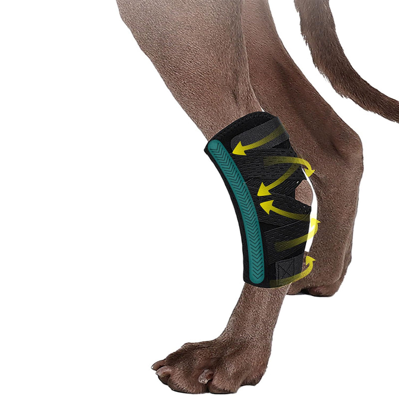 Dog Leg Braces for Rear Leg, Dog Hock Joint Brace with Two Metal Spring Inserts, Dog Hock Splint with Fractures, Wound Healing, Sprains and Canine Arthritis_L/XL L/XL