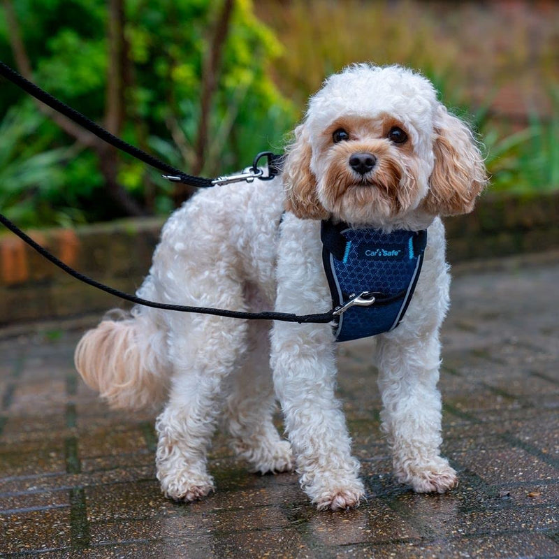 CarSafe Crash Tested Dog Safety Harness - Crash Tested to 32Kg/70lbs, Safely Secure Dog in The Car, Comfortable and Padded Design. for Toy, Small, Medium and Large Dogs (Size X-Small) X Small - PawsPlanet Australia