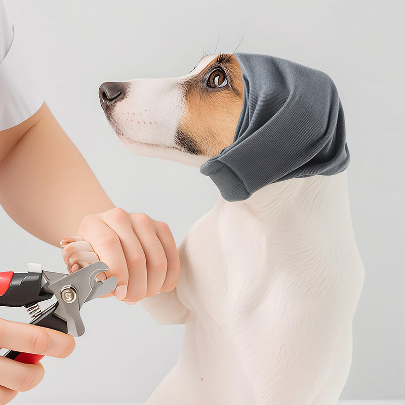 Dog Ear Muffs Dog Calm Headband Hoodie Ear wrap Noise Protection Dog Hematoma Ear Wrap Anxiety Relief Noise Removal Dog Winter Hat (Grey, Small) Grey - PawsPlanet Australia