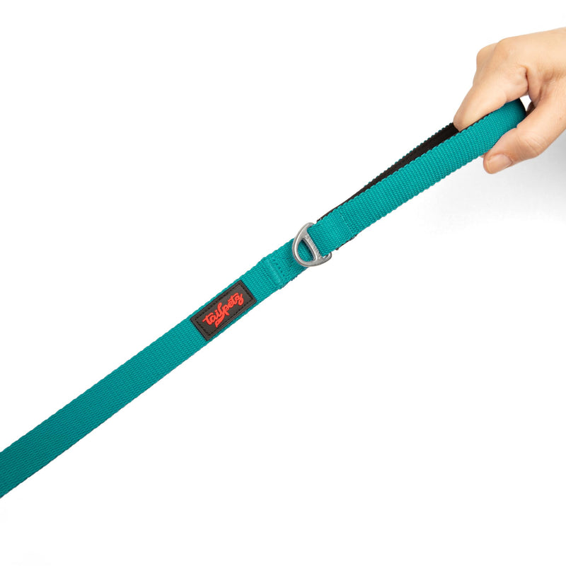 Tailpetz Basic Match Pet Leash 4,58ft Long for Small and Medium Breed Dogs and Cats (Medium, Emerald) - PawsPlanet Australia