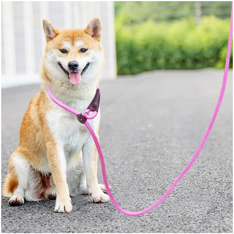 5 FT Slip Lead Dog Leash, Heavy Duty 1/2” Strong Nylon, Solid 7 Colors Training Leash, No Pull Dog Lead Great for Medium and Large Breeds (Pink) 1/2" x 5ft pink - PawsPlanet Australia
