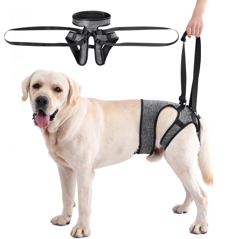 Dotoner Dog Lift Harness, Adjustable Support Sling for Back Legs, Adjustable Carrier for Injured Disabled Large Medium Small Dogs, Rear Leg Brace Assistance XL Grey