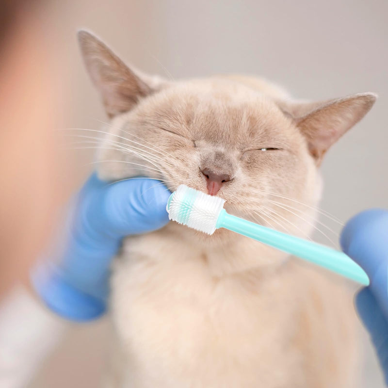 3-piece Cat and Dog Toothbrush, 360 Degree Cleaning, Soft Bristles, Pink, Blue, Green