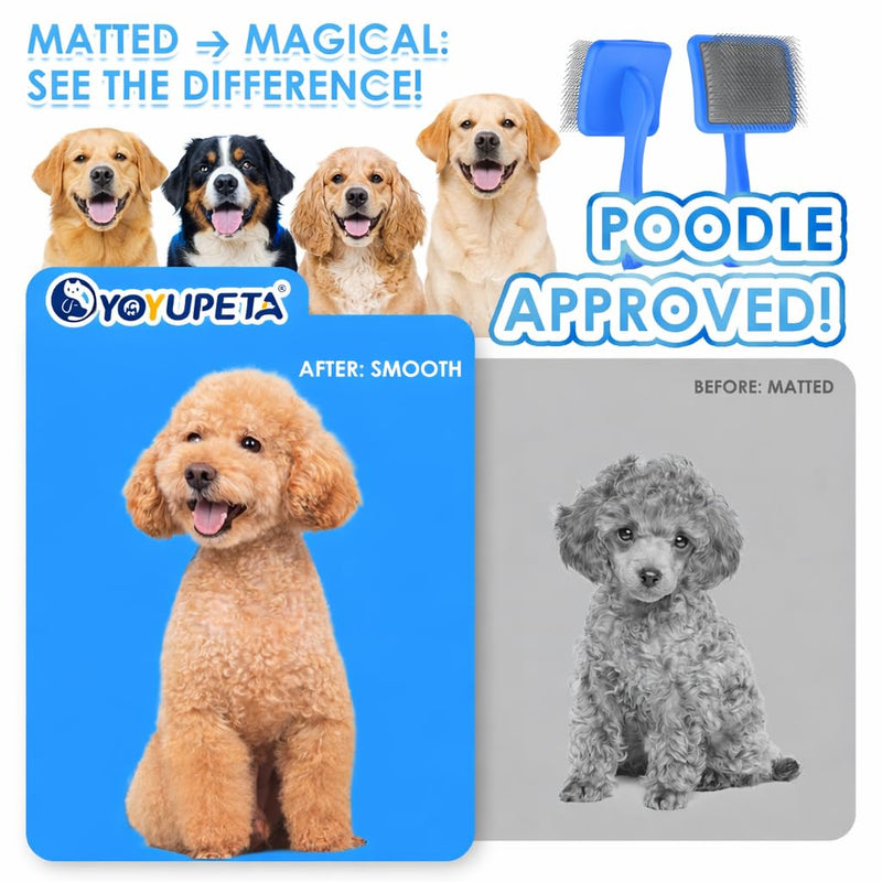 Large Dog Slicker Brush Set for Poodles & Goldendoodles - Extra Long Pin Slicker Brush with Wooden Handle for Long Haired Dogs & Cats - Dematting Tool with Leather Case (2 Piece Kit). Blue - PawsPlanet Australia