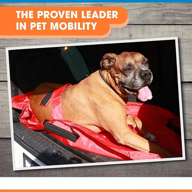 Transport Stretcher for Dogs | Emergency Animal Carrier with Safety Strap | 250 Pound Weight Limit | Pet Stretcher Size: 47 L X 29 W inches Pet Carrier (Blue) - PawsPlanet Australia
