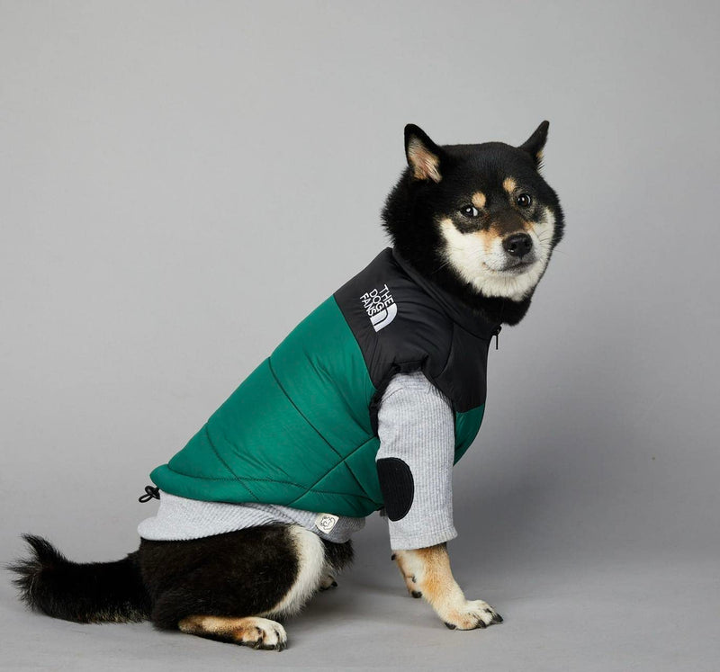ChoChoCho Puffer Vest - Stylish Dog Jacket, Warm Coats for Cold Weather, Snow & Winter (Green, S) S (Chest: 15.7'' / Suggest: 2-5 lbs) Vest-Green