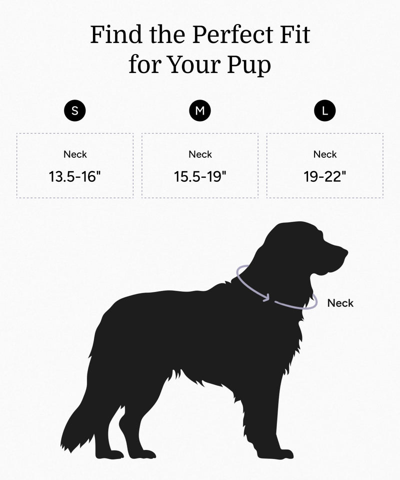 2026 New Edition, Fei & Eve Hand-Braided SP Cotton Martingale Collar – No-Pull, Gentle Design for Dog Neck – No Buckle, Heavy-Duty & Secure – The Thoughtful Gift for Dog Lovers, Small, Green S - PawsPlanet Australia