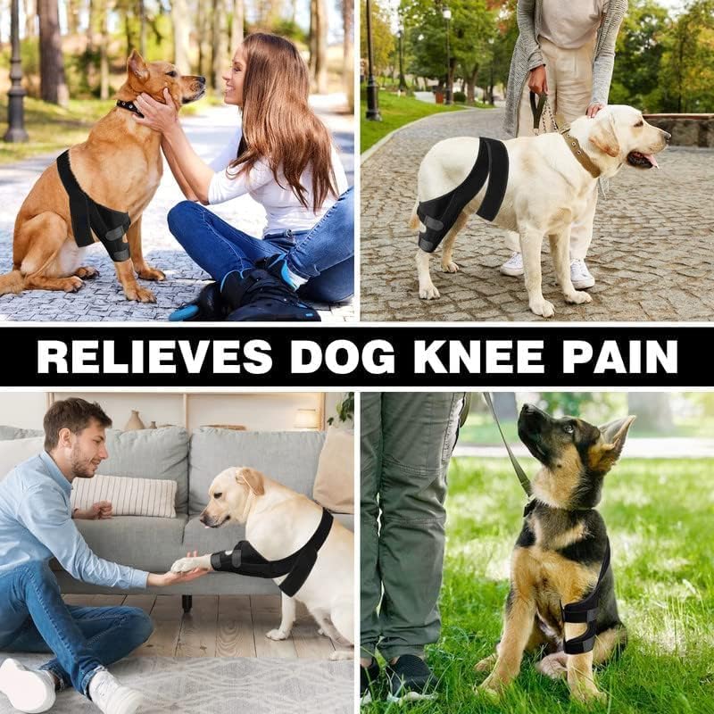 Dog Knee Brace Leg Braces - Dog Canine Knee Stifle Brace Wrap Dog Knee Brace for Torn ACL Hind Leg Joint Pain Muscle Sore Pet Brace Reduces Pain and Inflammation (S) S - PawsPlanet Australia