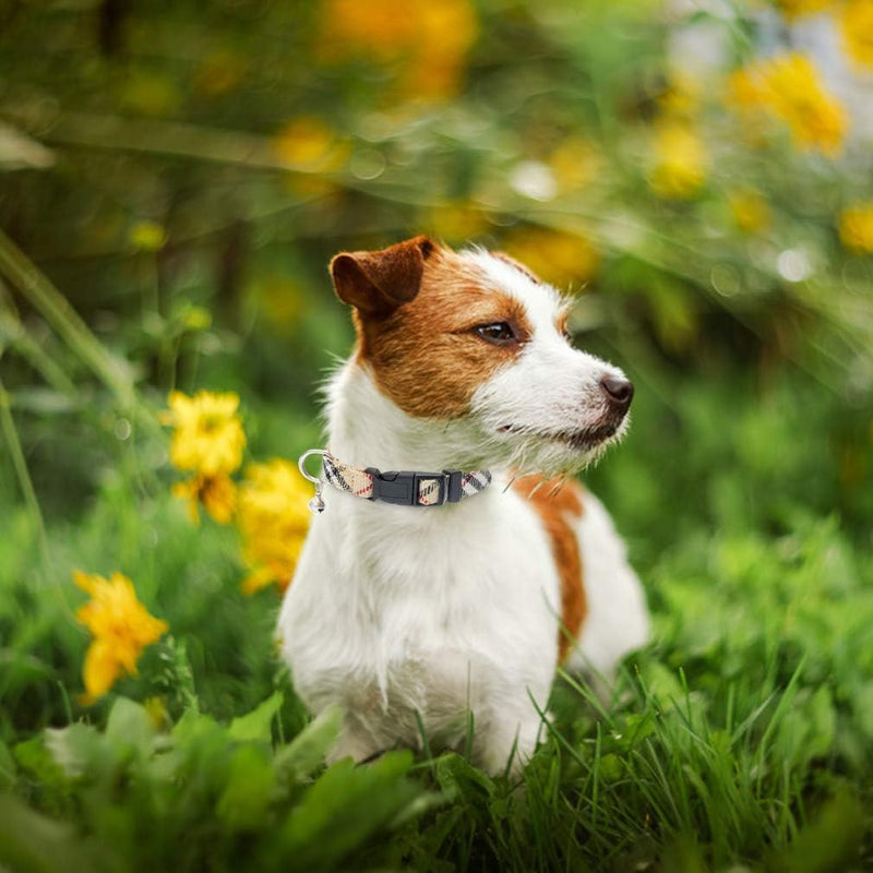 PUPTECK Adjustable Dog Harness Collar and Leash Set Step in No Pull Pet Harness for Small Medium Dogs Puppy and Cats Outdoor Walking Running, Soft Mesh Padded Reflective Vest Harnesses, Beige S S: Chest girth: 14.5-16in Collar: 7.9-11.8in - PawsPlanet Australia