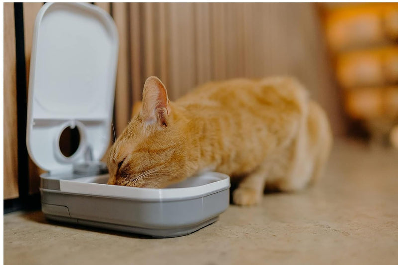 Cat Mate C100 Single Meal Automatic Timer-Controlled Pet Feeder - Suitable for Cats and Small Dogs, For Wet or Dry Food, up to 400 g capacity, White Cat Mate C100 Single Meal Automatic Pet Feeder One Size - PawsPlanet Australia