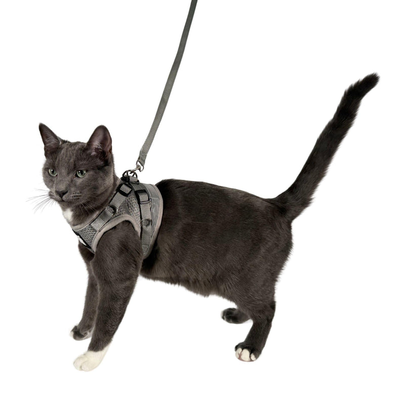 Travel Cat Harness and Leash Set - Adjustable Fit Mesh Cat Harness and Reflective Strap - Comfort Walking Vest for Kitten for Outdoor Walking, Hiking (Small, Grey) Small - PawsPlanet Australia