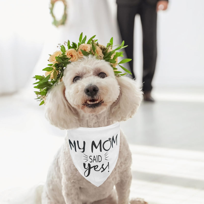 PUPTECK Engagement Dog Bandana with Dress Leash Set - PawsPlanet Australia