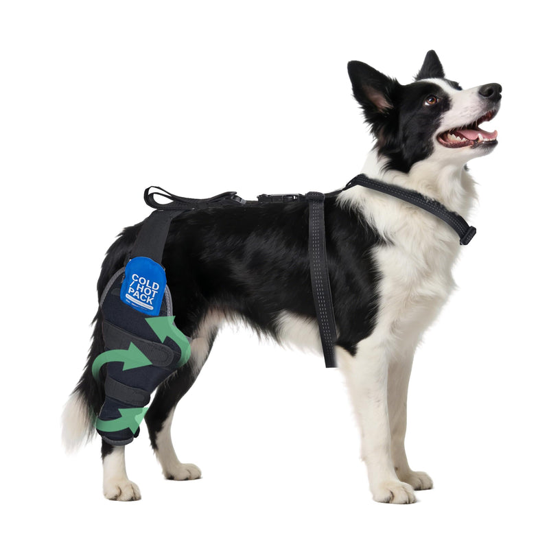 Dog Knee Braces for Back Leg, Dual-Use for Hot/Cold Compress Relieves Acute Joint Pain and ACL Injuries, Includes Removable Gel Ice Pack Suitable for Medium to Large Dogs, Right Leg M