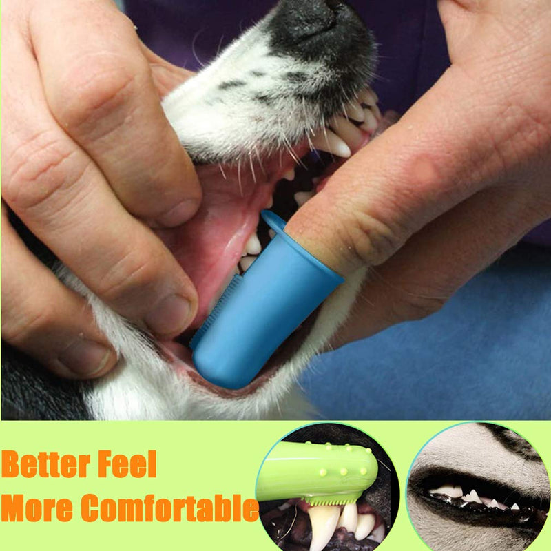10 Pack Pet Dog Toothbrush, 2 Triple Head Pet Toothbrushes 3 Double Head Tooth Brush 5 Pack Finger Rubber Toothbrushes, Multi-Angle Dental Cleaning Brushes for Dog Cat Oral Dental Health - PawsPlanet Australia