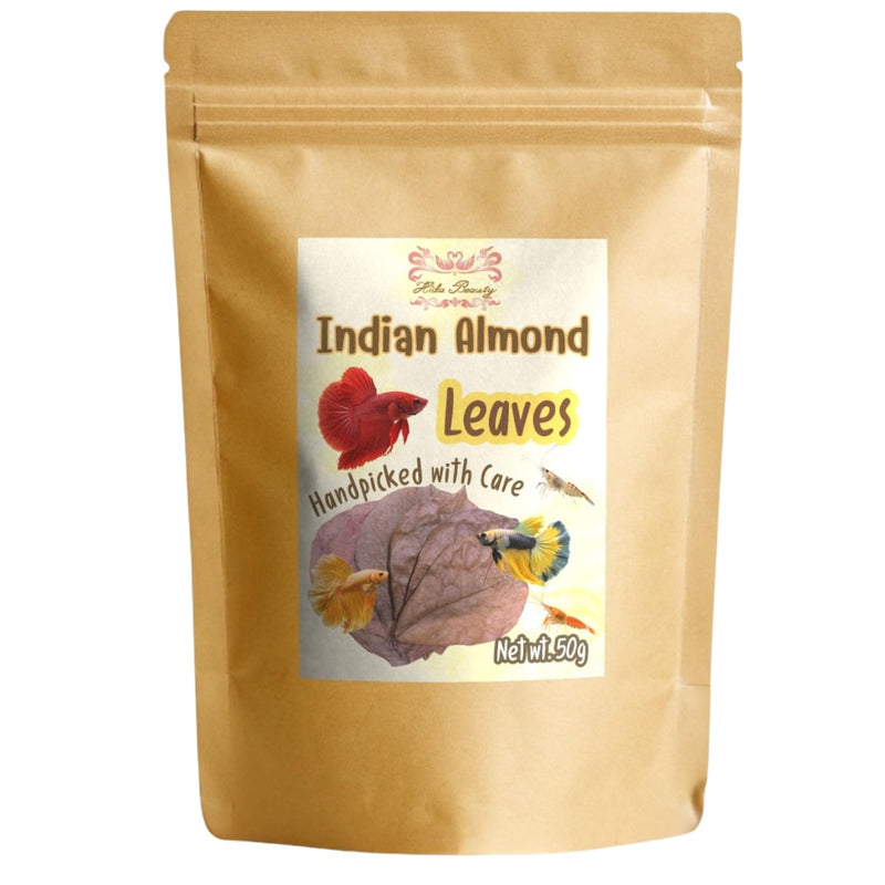 Indian Almond Dried Leaves Premium Catappa Leaf Aquarium Water pH Tannin for Betta Fish, Shrimp 1.76oz, (24+ Leaves) - PawsPlanet Australia