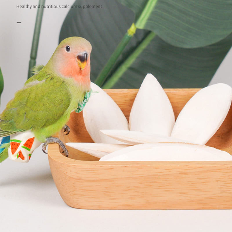 Natural Cuttlebone for Birds Parakeets Canaries Cockatiels Small Conures Mynahs Toucans African Greys All Parrots Snails Totoise, with Holder for Bird Cage (3.9-4.5",2PCS) 4-5 Inch (Pack of 2) - PawsPlanet Australia