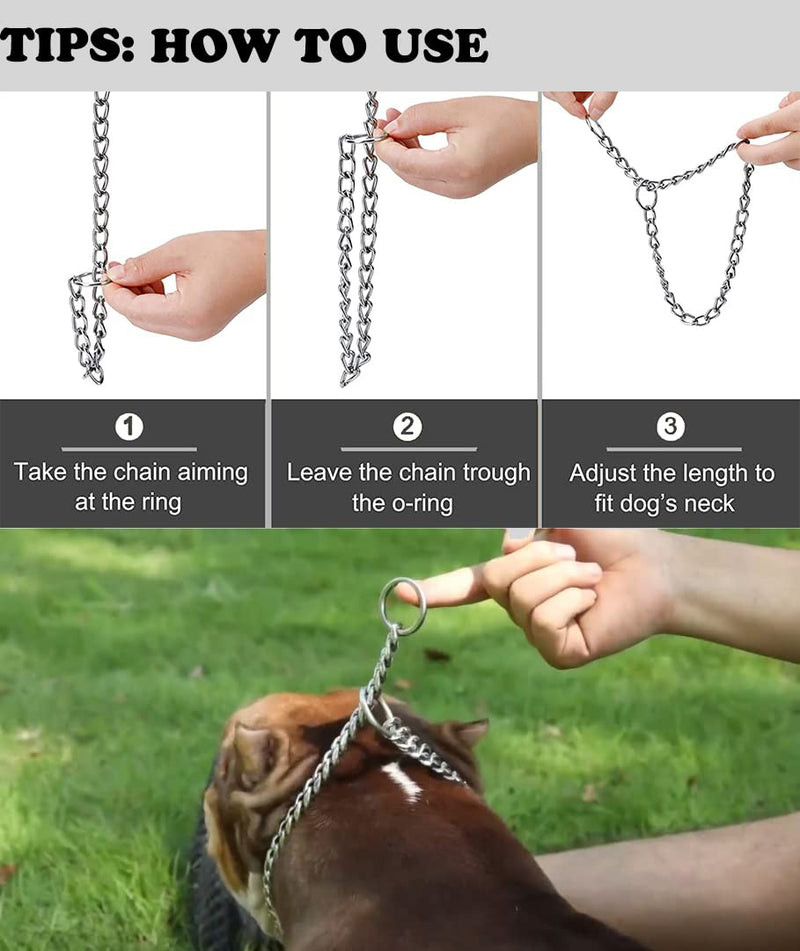 Freezx Dog Choke Collar Slip P Chain,Heavy Duty Metal Training Choke Collars, Adjustable Weather Proof Alloy Steel Chains for Small Medium Large Dogs Silver L Length: 22” (suitable for dog's neck 18") - PawsPlanet Australia