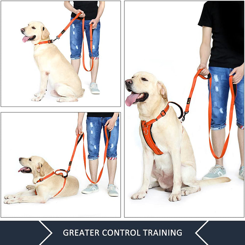 Plutus Pet Dog Leash 6ft long,Traffic Padded Two Handle,Heavy Duty,Reflective Double Handles Lead for Control Safety Training,Leashes for Large Dogs or Medium Dogs,Dual Handles Leads(Orange) Orange - PawsPlanet Australia