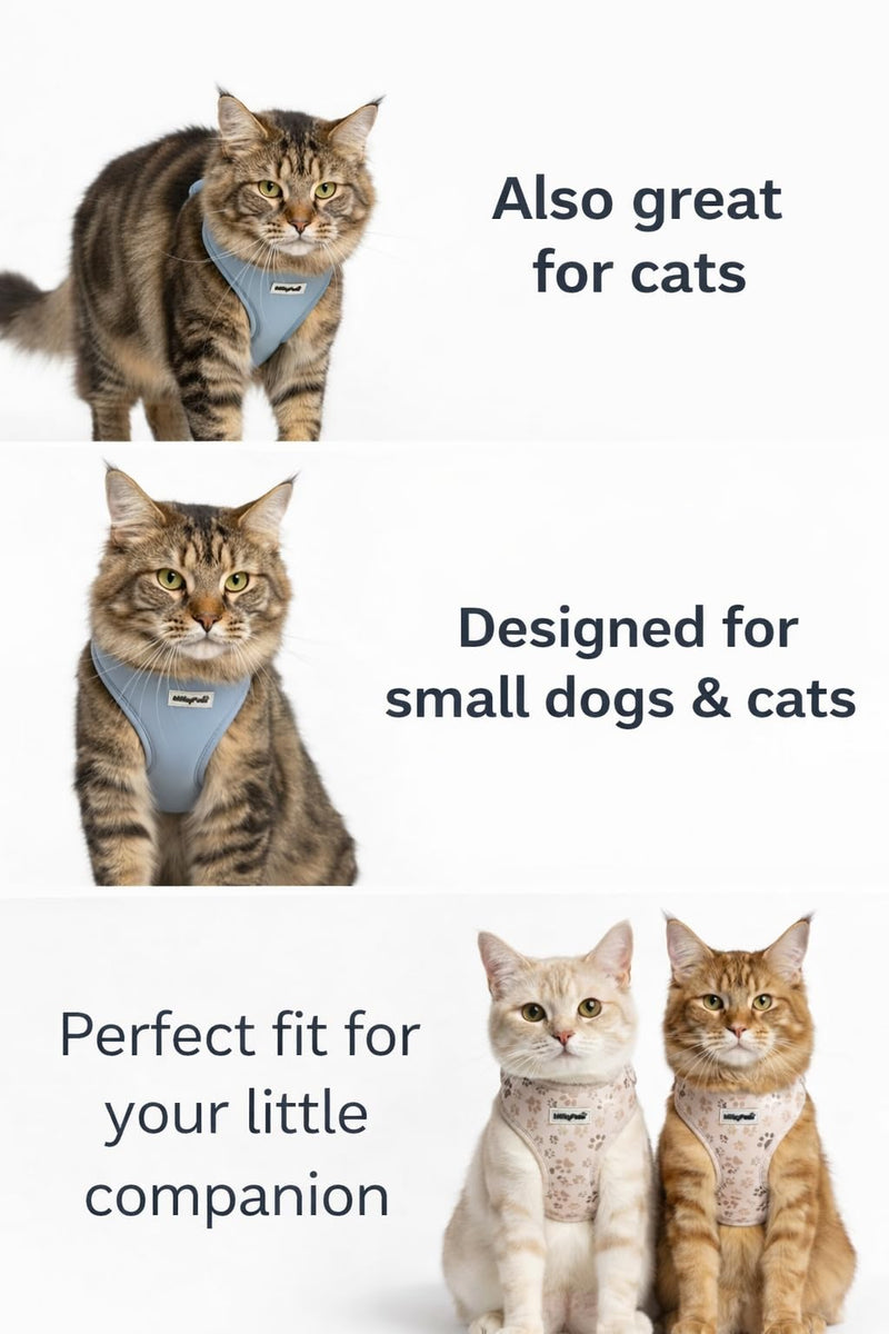 Dog Harness — Soft Adjustable Vest for Small Dogs & Cats, No-Choke, Breathable Mesh, Lightweight, Comfortable Pet Harness Paw Print Medium (12-22 Lb) - PawsPlanet Australia